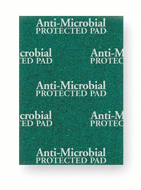 Scouring Pad,8 7/8 in L,Green,PK20