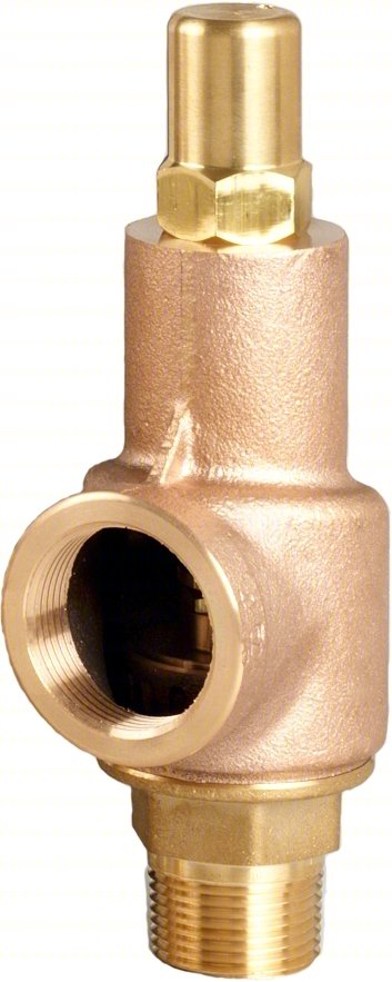 Safety Relief Valve,1 x 1-1/4 In,250 psi