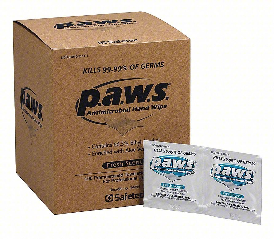 HAND SANITIZER WIPES: PACKET, 100 WIPES
