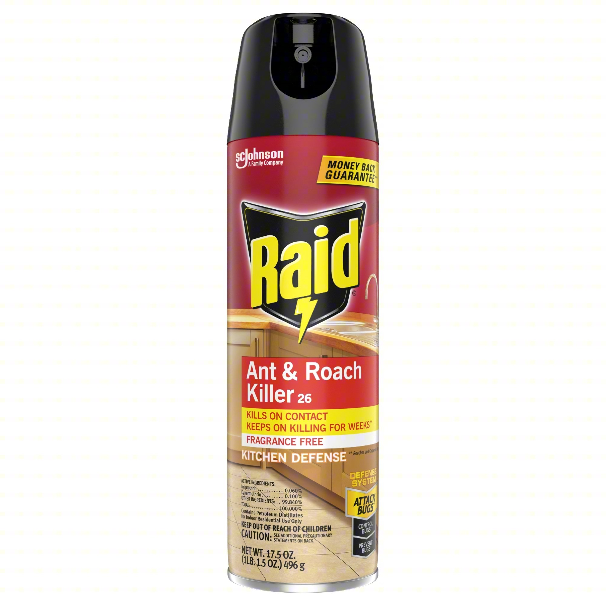 ANT/ROACH KILLER,17.5 OZ, SPRAY CAN