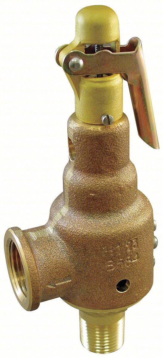 Safety Relief Valve,1-1/4x1-1/2 In,25psi