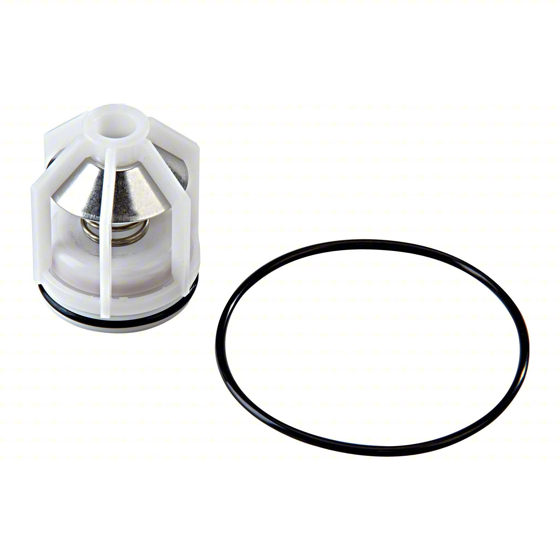 Repair Kit,Watts Series 009, 3/4 to 1 In