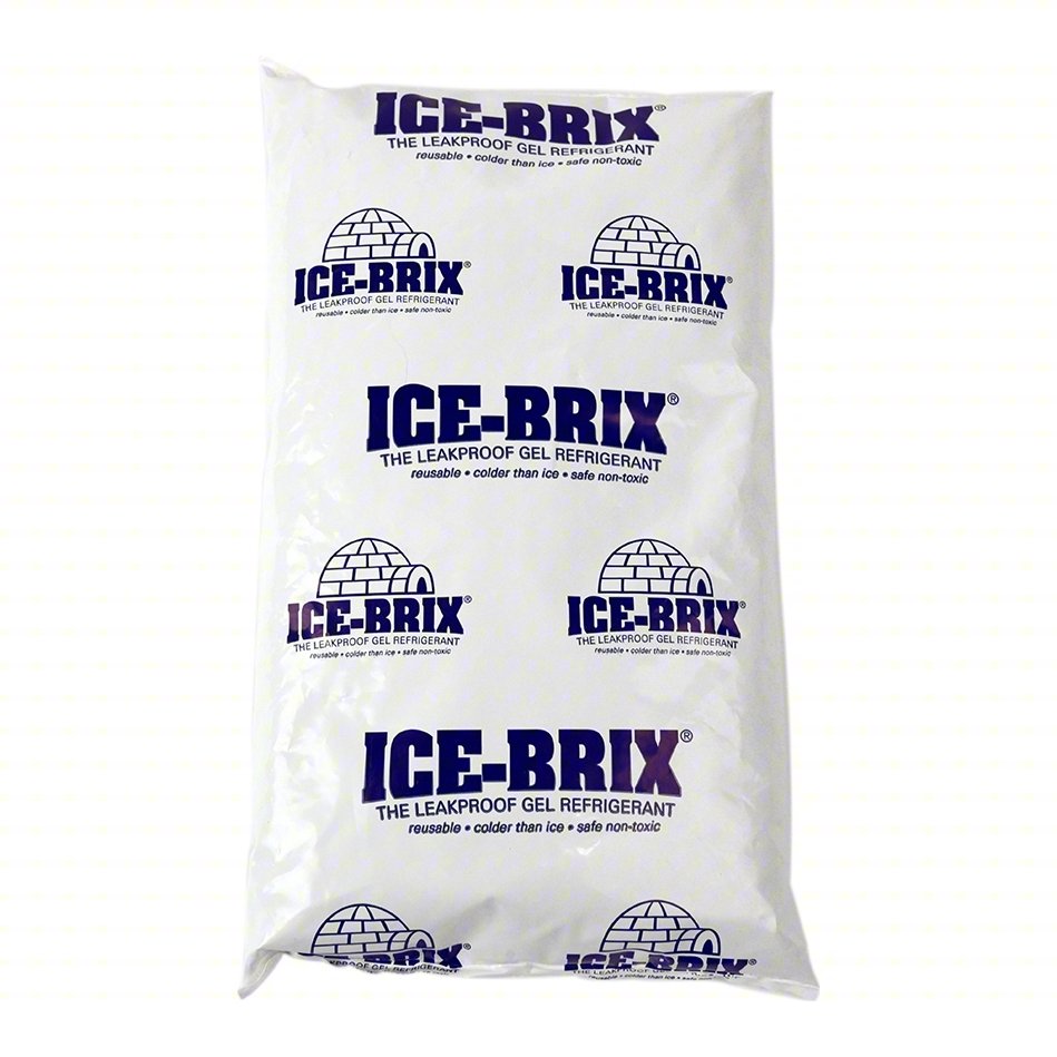 FREEZER PACK,6 .,5-1/2" L,4" W,PK48