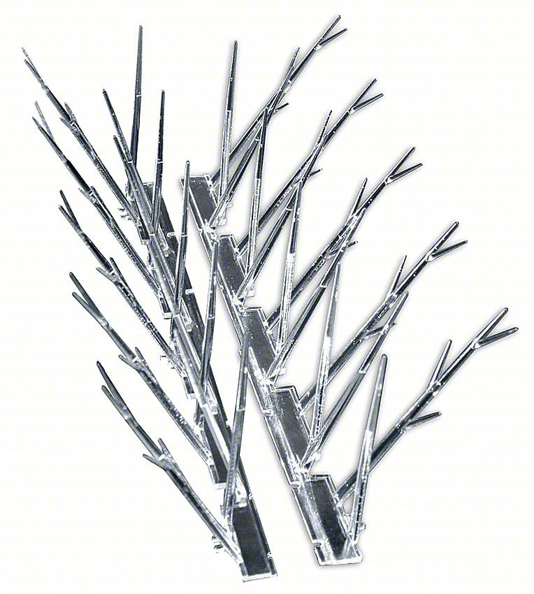 BIRD REPELLENT SPIKES,10 FT L,6 1/2 IN W