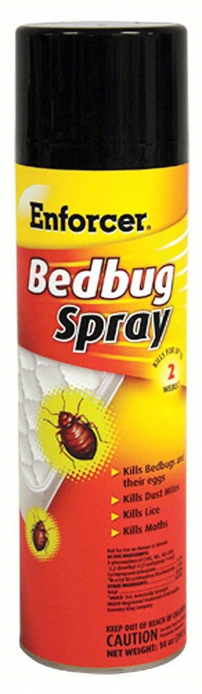 BED BUG KILLER,14 OZ,AEROSOL SPRAY CAN